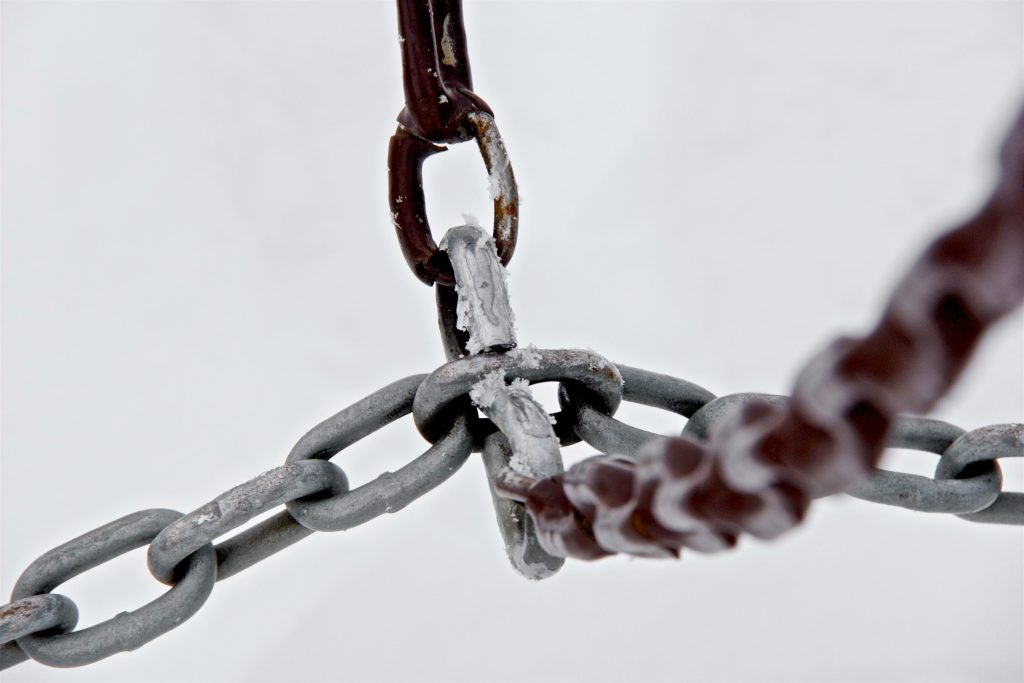 Breaking free from repetitive life cycles